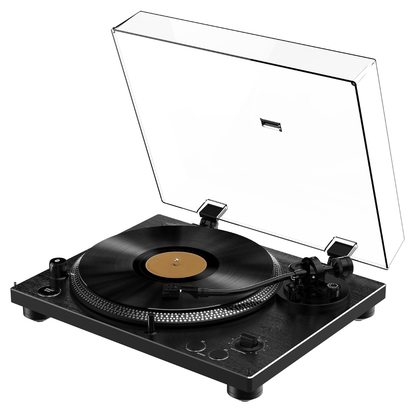 Виниловый проигрыватель Alive Audio TWISTER (черный)