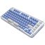 Игровая клавиатура Logitech Alto Keys K75M (белый/голубой)