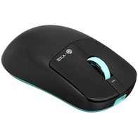 IO x VXE R1 SE+ (черный)