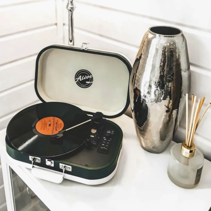 Виниловый проигрыватель Alive Audio VINTAGE Cades Gin