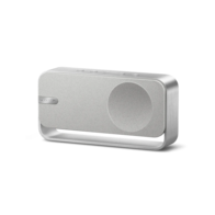 Bose SoundLink Home Bluetooth Speaker (серебристый)