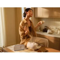 Bose SoundLink Home Bluetooth Speaker (серебристый)