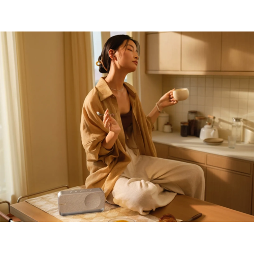 Беспроводная колонка Bose SoundLink Home Bluetooth Speaker (серебристый)