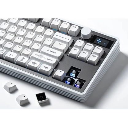 Игровая клавиатура Dark Project KD85 Vega (DP-KD-85A-300101-GOX) (белый)