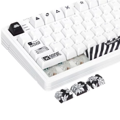 Игровая клавиатура Dark Project KD87A g3ms Moonstone (DP-KD-87A-000102-GMS) (белый)