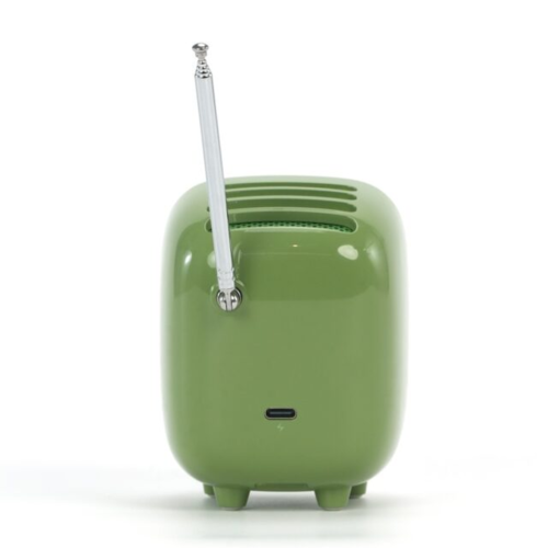 Портативная колонка Divoom Tiivoo 2 (зеленый)