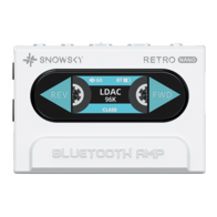 FiiO Snowsky RETRO NANO (белый)
