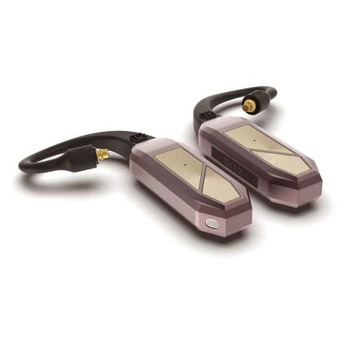 Беспроводные наушники iFi Audio GO pod Max