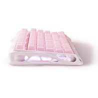 Gravastar Mercury K1 Special Edition Sakura