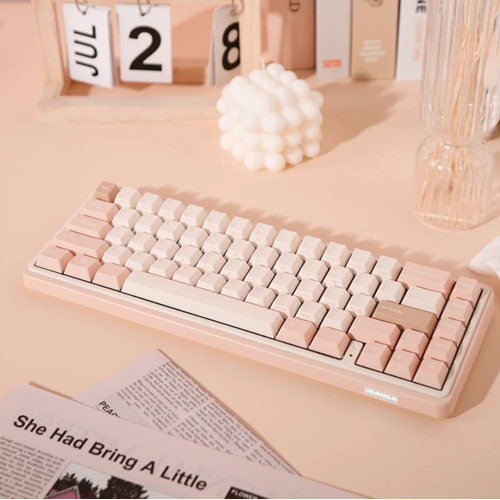 Игровая клавиатура Varmilo VXB67 Mendozae White EC V2 Iris