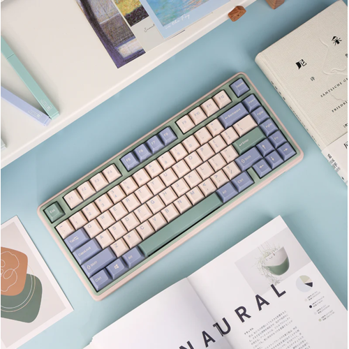 Игровая клавиатура Varmilo VXT81 Eucalyptus Kailh Prestige Light