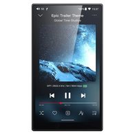 FiiO JM21 (черный)