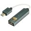 Портативный усилитель и ЦАП iFi Audio GO link Max
