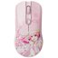 Игровая мышка Akko AG One 3950 Sakura Miku