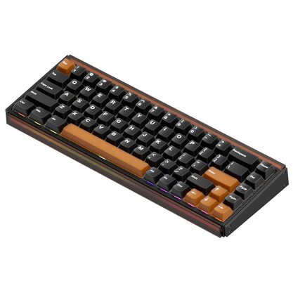 Игровая клавиатура AKKO RAY68 HE Magnetic Wired AstroAim Magnetic Switches (черный/коричневый)