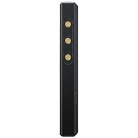 Fiio M21 (черный)