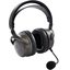 Игровые наушники Audeze Maxwell 2 for PlayStation (черный)