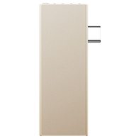 FiiO ESTICK (золотистый)