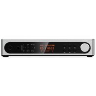 FiiO DM15 R2R (серебристый)