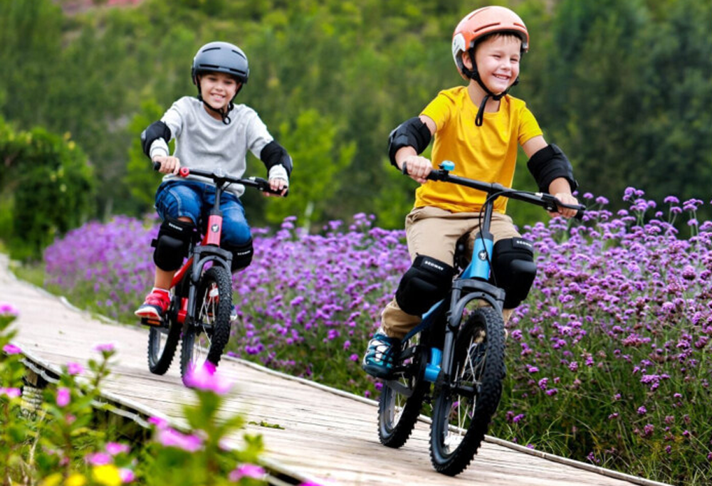Велосипед Xiaomi Ninebot Kids Bike 16&quot;
