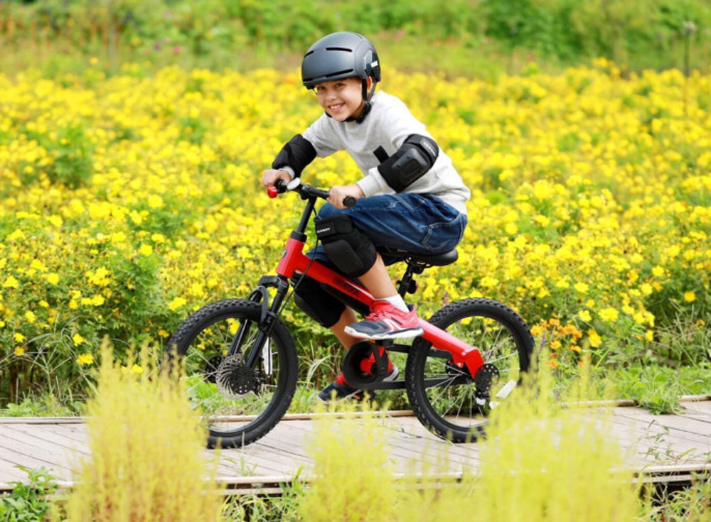 Велосипед Xiaomi Ninebot Kids Bike 18&quot;
