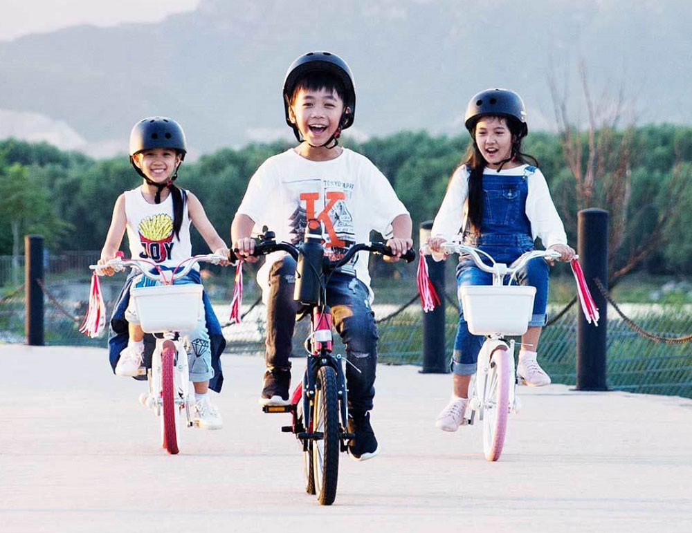 Велосипед Xiaomi Ninebot Kids Girls Bike 16&quot;