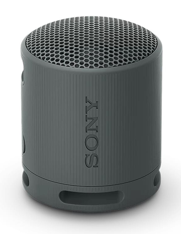 Купить беспроводную колонку Sony SRS-XB100 (черный) в Москве, цена